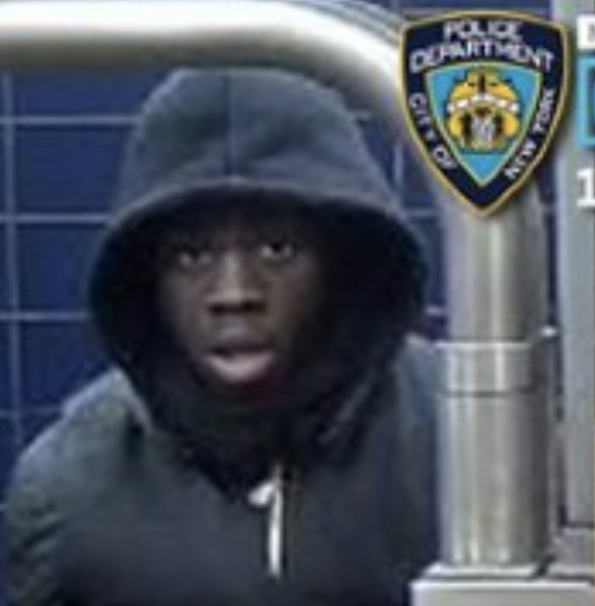 Grand Theft Train: Woke Niggers Hijack NYC Train and Take It for a “Joyride”